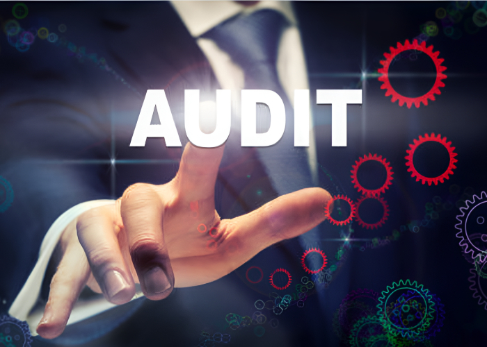 Statutory Audit Services Firm